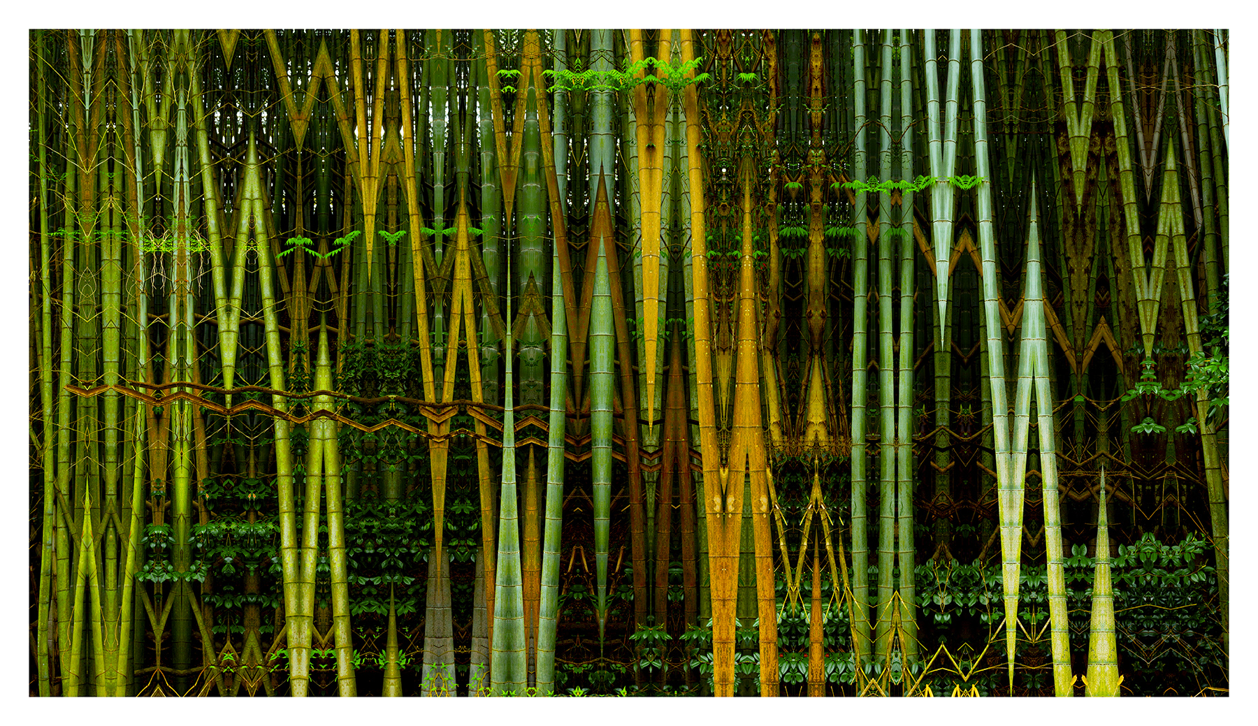 _Bamboo Wall sm