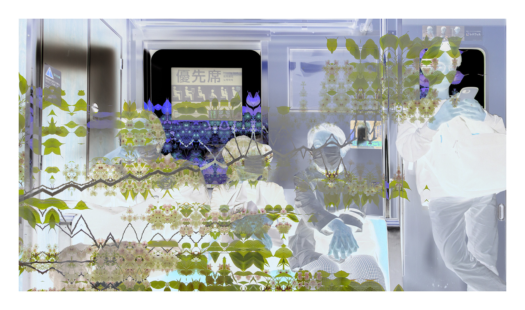 _Priority Seat BlossomTrain sm